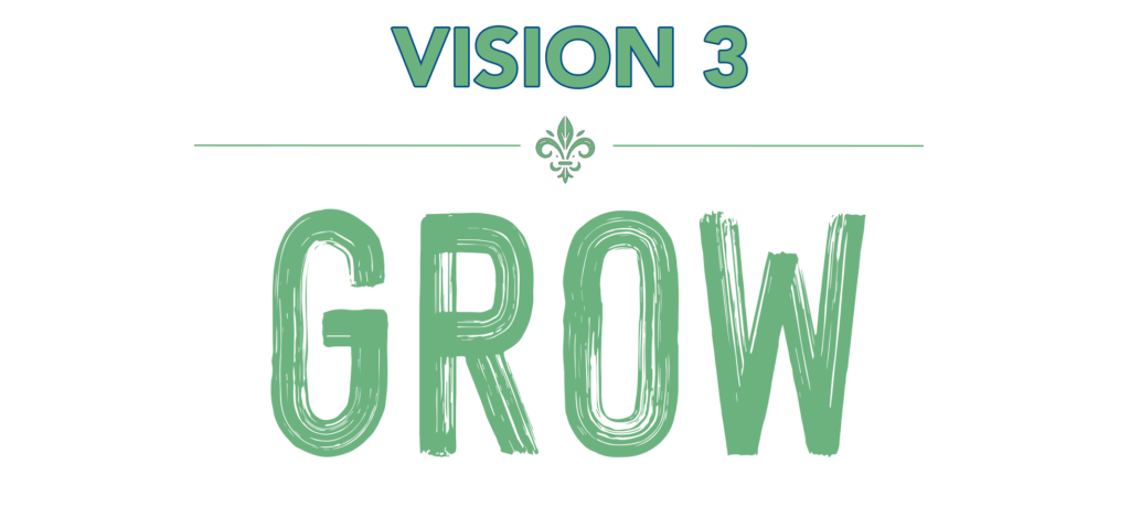 Graphic that reads: Vision 3: Grow